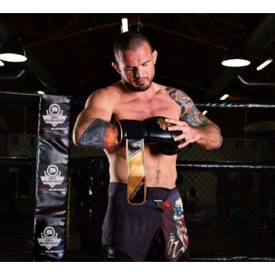 5. 10oz Boxing Gloves - Infinity - Origin Series