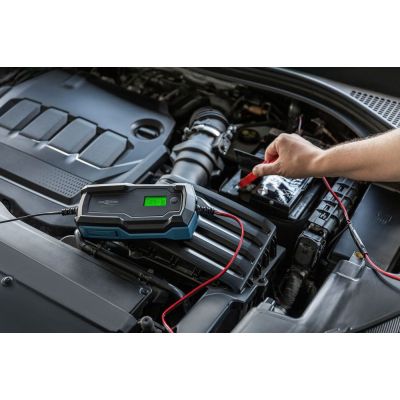 8. Ansmann 1001-0146 Vehicle Charger 6 - 14 V Black