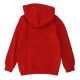 2. Puma DCT Hoodie Jr 849258 sweatshirt 11