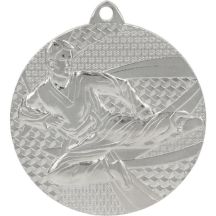 Silver medal - karate - steel medal