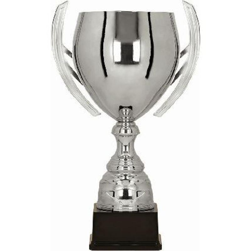 2. BATIKAS silver metal cup