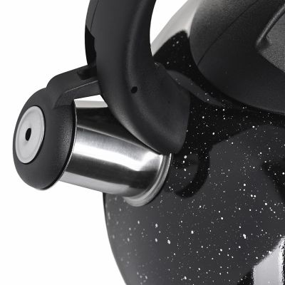 8. Kettle 3.0L MR-1316-BLACK MAESTRO