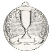 Overall silver medal with cup
