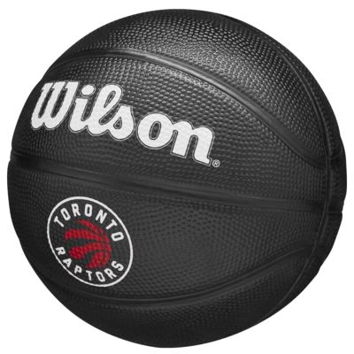 7. Wilson Team Tribute Toronto Raptors Mini Ball Basketball WZ4017608XB
