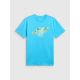 5. Men's regular printed T-shirt 4F 4FRSS26TTSHM4305-33S