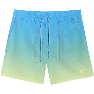2. Swim shorts 4F M 4FWSS25UBDSM132 33S