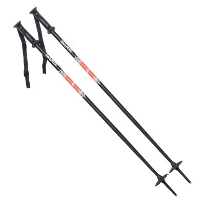 SNOWFLAKE JR Kids' Poles