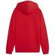 2. Puma Team Goal Casuals Hoddy Jr sweatshirt 658619 01