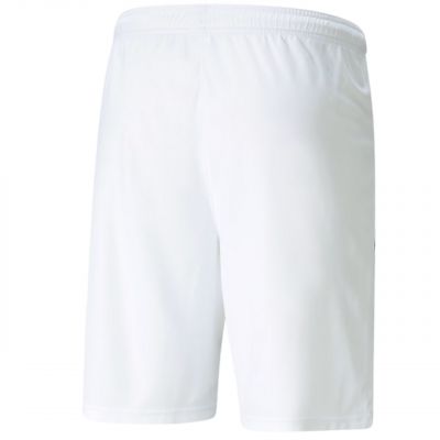 2. Puma teamLIGA M 704924 04 shorts