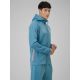 4. Men's regular training hoodie 4F 4FRSS26TFSWM0958-32S