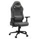3. COUGAR CGR-EPF-ROG Universal Gaming Chair Grey