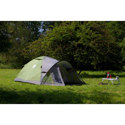 4. Coleman Darwin 3 Plus 3-Person Tent Green - Gray