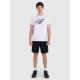4. Men's T-shirt 4F 4FWMM00TTSHM2257-10S