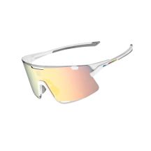 ROCKBROS Sports Glasses 14210011003 photochromic/polarized