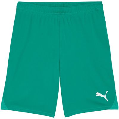 3. Puma Team Goal men's shorts green 705752 05