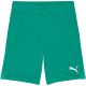 3. Puma Team Goal men's shorts green 705752 05