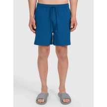 Men's swimming shorts 4F 4FWSS26UBDSM169-20S