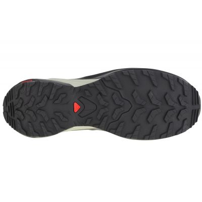 4. Salomon X-Adventure GTX M 473212 running shoes