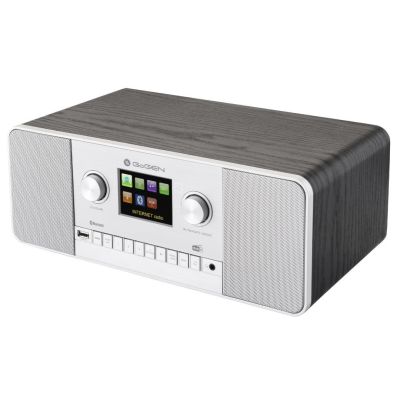 8. GoGen IR 257 BTDAB Digital Internet Silver