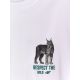6. Boy's regular printed T-shirt 4F 4FJKAW26TTSHM4457-10S