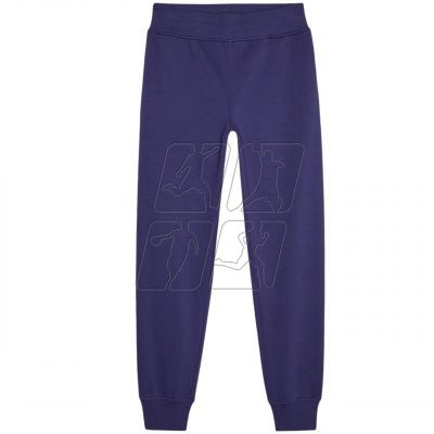 10. Trousers 4F F0946 W 4FWMM00TTROF0946 31S