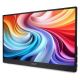 12. Acer PM161QB1bmiuux Portable Monitor Black 39.6 cm (15.6") 1920 x 1080 px