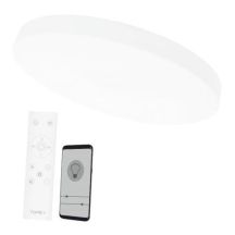 Boston ceiling lamp 2x60W D80RC LED white