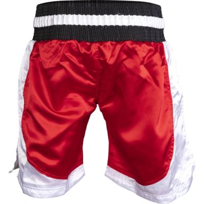 7. TOP TEN kick light shorts (WAKO APPROVED)