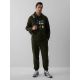 5. Men's regular hooded sweatshirt 4F 4FRAW26TSWSM3162-43S