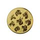 Aluminium Insert – Dogs