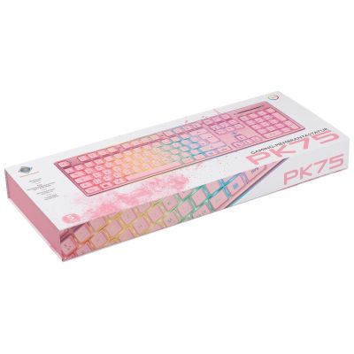 4. Deltaco Gaming GAM-021-RGB-P-DE USB Keyboard QWERTZ German Pink