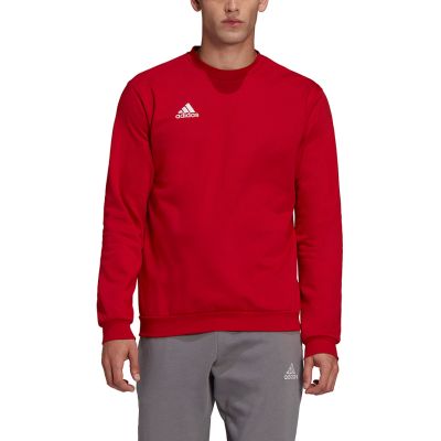14. Adidas Entrada 22 Sweatshirt M HB0577