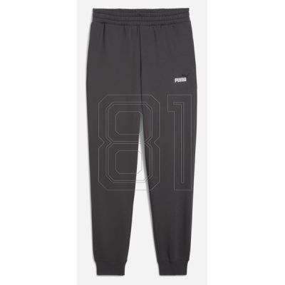 Puma ESS 2 Color No. 1 Logo Pants M 684713 44