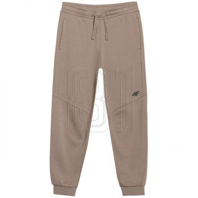 4. Trousers 4F CAS M1103 Jr 4FJWSS25TTROM1103 83S