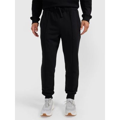 Men's jogger sweatpants 4F 4FRAW25TTROM1671-20S