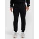 Men's jogger sweatpants 4F 4FRAW25TTROM1671-20S