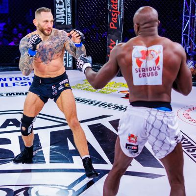 9. MMAM Gloves - Harmony - Valor Series