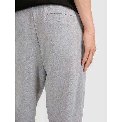4. Men's jogger sweatpants 4F 4FRMM00TTROM1624-27M