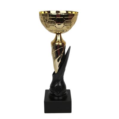 The 1898 Triumph Cup
