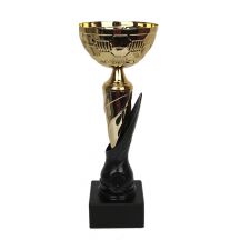 The 1898 Triumph Cup
