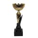 The 1898 Triumph Cup