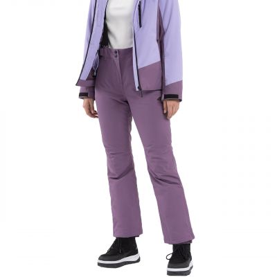3. Ski pants 4F FNK F419 W 4FAW23TFTRF419 50S