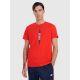 Men's regular printed T-shirt 4F 4FRAW25TTSHM3225-62S