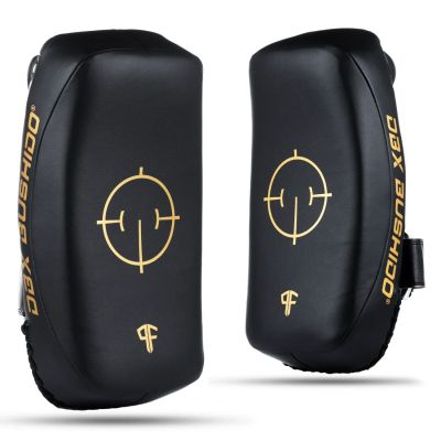 PAO Gold Thai Shields pair | ProFighter | DBX Bushido