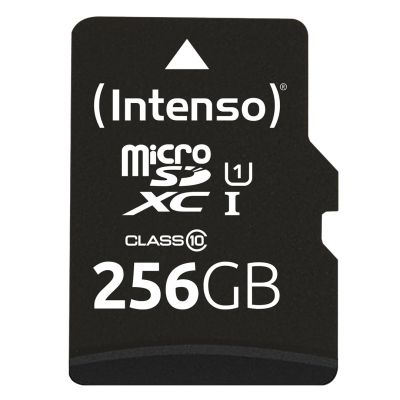 2. Intenso microSD 256GB UHS-I Perf CL10| Performance Class 10