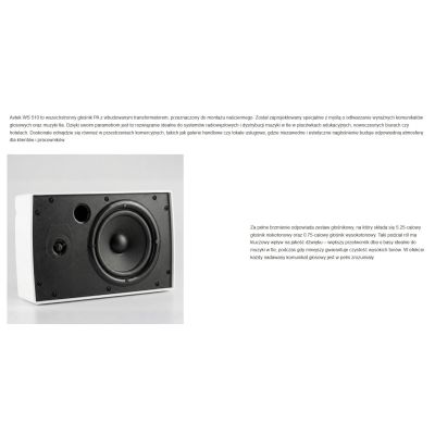 4. AVTEK WALL-MOUNTED SPEAKER WS 510