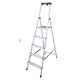 SAFETY LADDER 5 STEPS FOR HOME