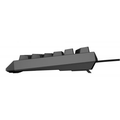 11. GENESIS Thor 230 TKL Gaming Keyboard USB QWERTY US English Black