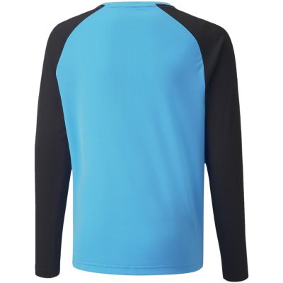4. Puma teamPacer GK LS Jersey Jr 704939 40