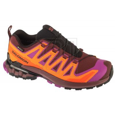 Salomon XA Pro 3D v9 GTX W L47961900 Running Shoes
